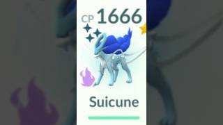 Shadow Shiny Suicune ✨  Shadow Legendary Raid  Pokémon Go [upl. by Zarla]