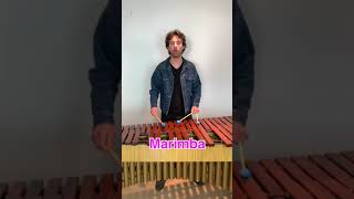 RINGTONES on mallet percussion instruments marimba vibraphone xylophone glockenspiel steel pan [upl. by Willow302]