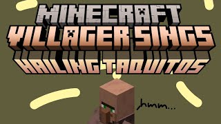 Minecraft Villager Sings ParryGripp  Hailing Taquitos Hailing Villagers [upl. by Nowahs320]