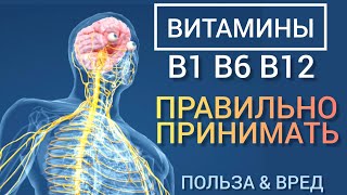 Витамины В1 В6 В12 l Польза и Вред l Ответы на вопросы l Самое главное l Vitamins B  Benefits [upl. by Esimaj]