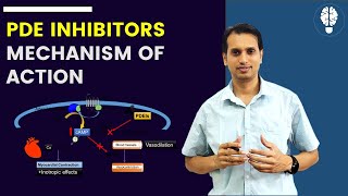 Phosphodiesterase PDE Inhibitors  Mechanism of action of PDE Inhibitors  Anti CHF drugs [upl. by Millda834]