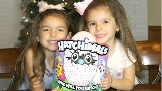 HATCHING HATCHIMALS TOYS [upl. by Bellda]