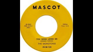 The Monotones  You Never Loved Me 1958 Doo Wop Gold [upl. by Ahsetel]