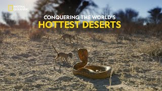 Survival in the Desert  Hostile Planet  हिंदी  S1  E4  Nat Geo Wild [upl. by Einatsed889]