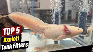 Best Axolotl Tank Filters A Comprehensive Guide [upl. by Claudine]