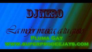 Dj Nero Vallekas  Pluma Gay  wwwsuperprodeejayscom [upl. by Reade]