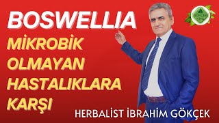 Mikrobik Olmayan Her Türlü Enfeksiyona Karşı Boswellia [upl. by Ahsena]