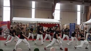 Demo Body Karate ASKR Foire davignon 2015 [upl. by Amzaj]