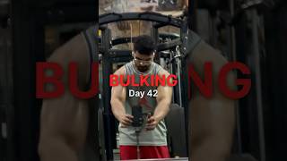 Best peanut butter  Day 42 of Gaining🦍 youtubeshorts motivation [upl. by Tutto783]