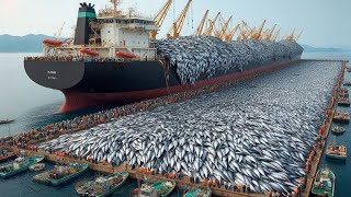 100 Tons of Fish a Day – Is This the End of Our Ocean Life [upl. by Akemet]