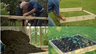 Create a no dig raised bed compost on weeds with tips on planting  see the growth [upl. by Bascomb]