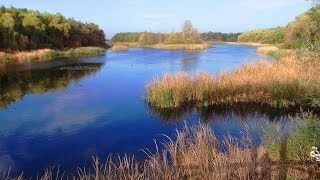 Sopron Fertöto Neusiedlersee [upl. by Ecarg]