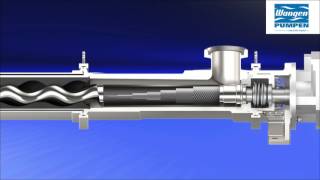 HpE Launch New Wangen Hygienic Progressive Cavity Pump [upl. by Camfort]