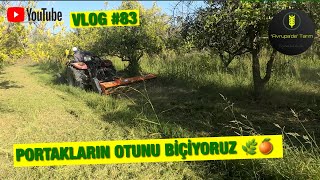 HİDROLİKLİ DALKIRMA MAKİNASI İLE OT BİÇİYORUZ  CASE JX65B  Vlog 83 [upl. by Asaret]