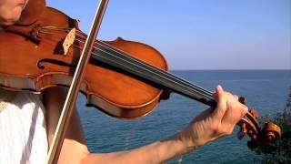 Musique grecque  psaropoula  Nefeles  greek music  violin amp laouto  ψαροπουλα [upl. by Ellinnet]