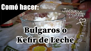 Comó hacer los Bulgaros y Kefir de leche  Todo el proceso y productos finales  Jocoque [upl. by Aihtibat]