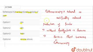 Parthenocarpic fruits can be produced by application of auxin [upl. by Alakim691]