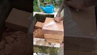 how to make coco peat cocopeat garden gardening plants [upl. by Sargent]