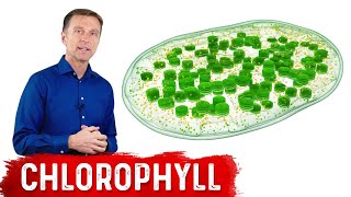 9 Proven Benefits of Chlorophyll [upl. by Kristan]