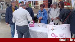 Ottobre Rosa a Nicosia associazioni unite per la prevenzione del tumore al seno [upl. by Wendalyn354]