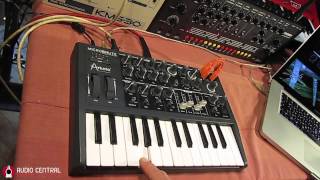 Arturia MicroBrute MIDI Synced [upl. by Onimixam]