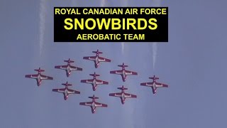 Royal Canadian Airforce Snowbirds [upl. by Tnilc]