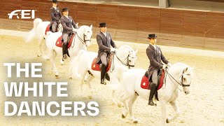 Lipica Stud Home of the famous white Lipizzaner  RIDE presented by Longines [upl. by Folsom]