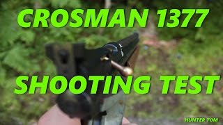 Crosman 1377 Shooting Test [upl. by Kyte]