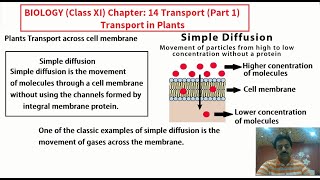 Chapter 14  Transport  XI Biology Transport in Plants In Urdu  Part 1 [upl. by Airetal]