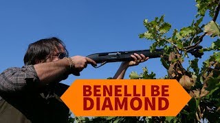 Caccia ai colombacci con Benelli BE Diamond [upl. by Nerraf]