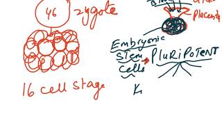 CHAPTER 5 MITOSIS VIDEO 2 [upl. by Htrag]