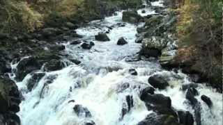 Salmon leaping Scotland [upl. by Carolina]