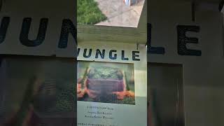 Jungle Photicular Book junglebook insects atlas [upl. by Ailic]