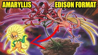 Amaryllis Deck Profile  Edison Format  YUGIOH [upl. by Enylrac720]