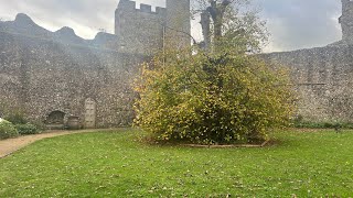 Grzel W is live in Lewes Castle [upl. by Nika818]