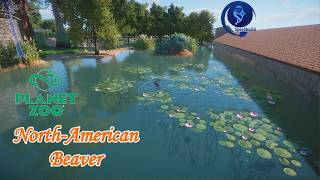 🦫🌎North American Beaver habitat  10 HunZoo Sheyenne planetzoo speedbuild beaver [upl. by Levin]