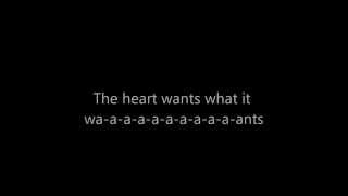 Selena Gomez The Heart Wants What It Wants lyrics [upl. by Anwat]