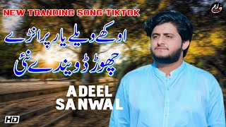 Aokhy Welay Yar Puraren  Adeel Sanwal  Latest Saraiki Song 2024  Gulfam Studio [upl. by Iahs]