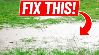 How to Fix Standing Water in the Lawn  Low Spot Drainage with Catch Basin [upl. by Nyrroc]