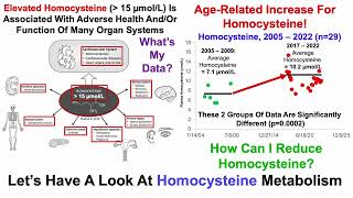 Will Glycine Supplementation Reduce Homocysteine [upl. by Oirelav]