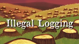 Illegal Logging 1st place National STEM Animation [upl. by Randal648]