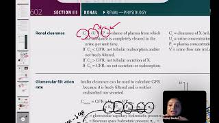 Glomerular Filtration Rate and Renal Clearance [upl. by Kopple]