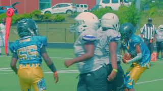 Bessemer Tiger 9u Vs Indy Firehawks Shot By HardknockSportsTv [upl. by Nerua]