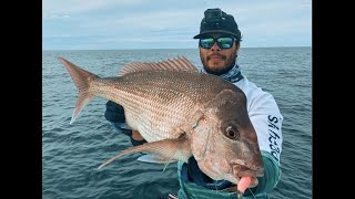 Snapper GT and Red Rock Cod  Stradbroke Island Fishing [upl. by Meg]