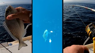 Fishing with UNDERWATER CAMERA🎣  Episode 1 [upl. by Rogerio796]