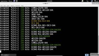 SSL Scanning  Kali Linux  SSLTLS Vulnerability Scanner [upl. by Eejan]