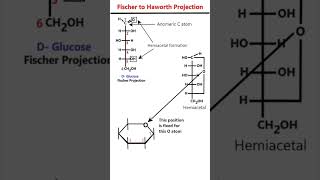 Fischer to Haworth Projection of Glucose animation mnemonic [upl. by Yelekalb]