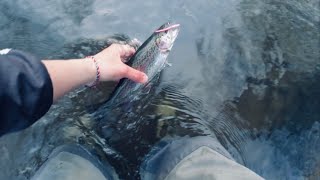 MN 2023 Trout opener Vermillion River trout fishing down by Farmington Minnesota Hmong Fishing [upl. by Repohtsirhc701]