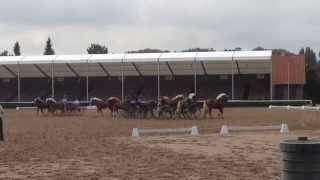 Training für die TraberwagenQuadrille zur Symphonie der Hengste 2014 [upl. by Kling873]