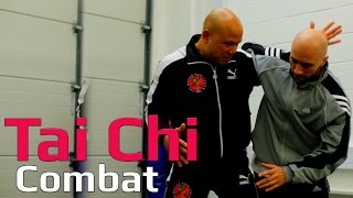 Tai chi combat tai chi chuan  tai chi how to arm lock Q35 [upl. by Hynda555]